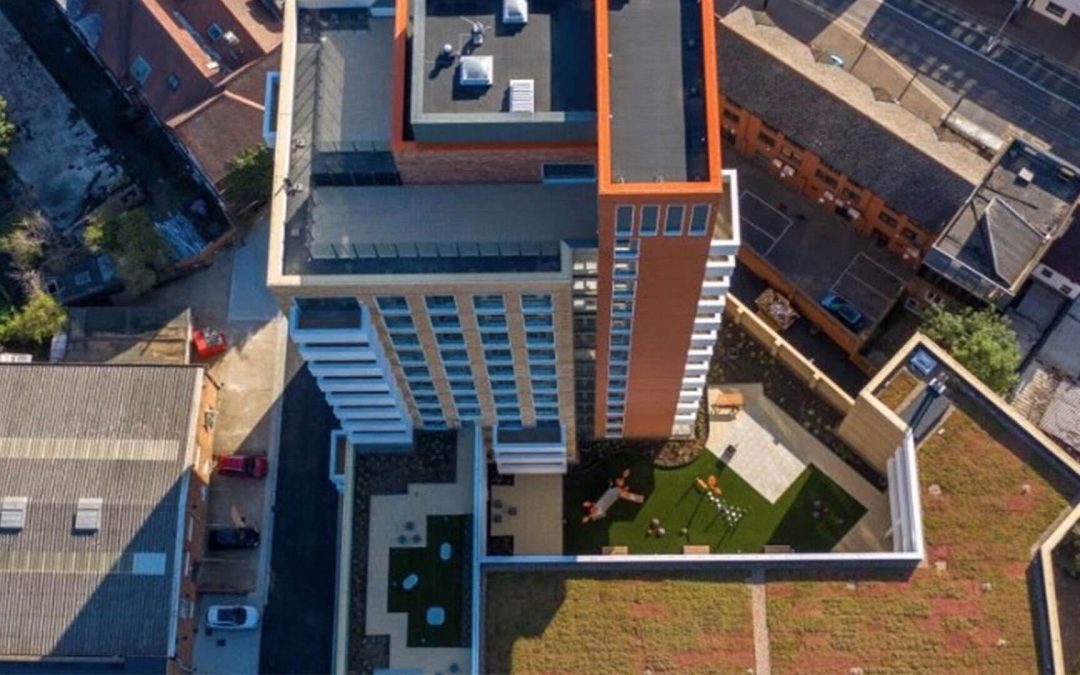 Cairo Road Case Study