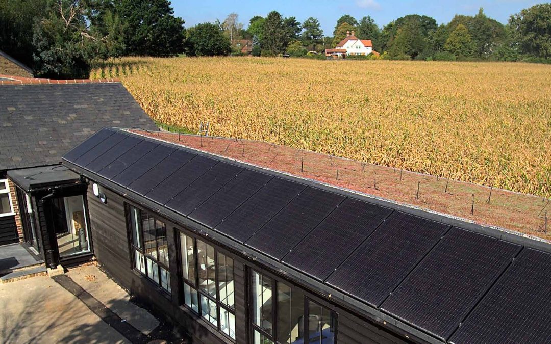 Eco Green Group Head Office Case Study