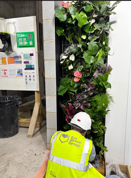 PlantBoxTM