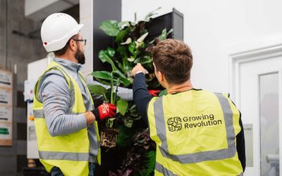 Construction Wellbeing Crisis: One Simple Solution Making a Real Difference