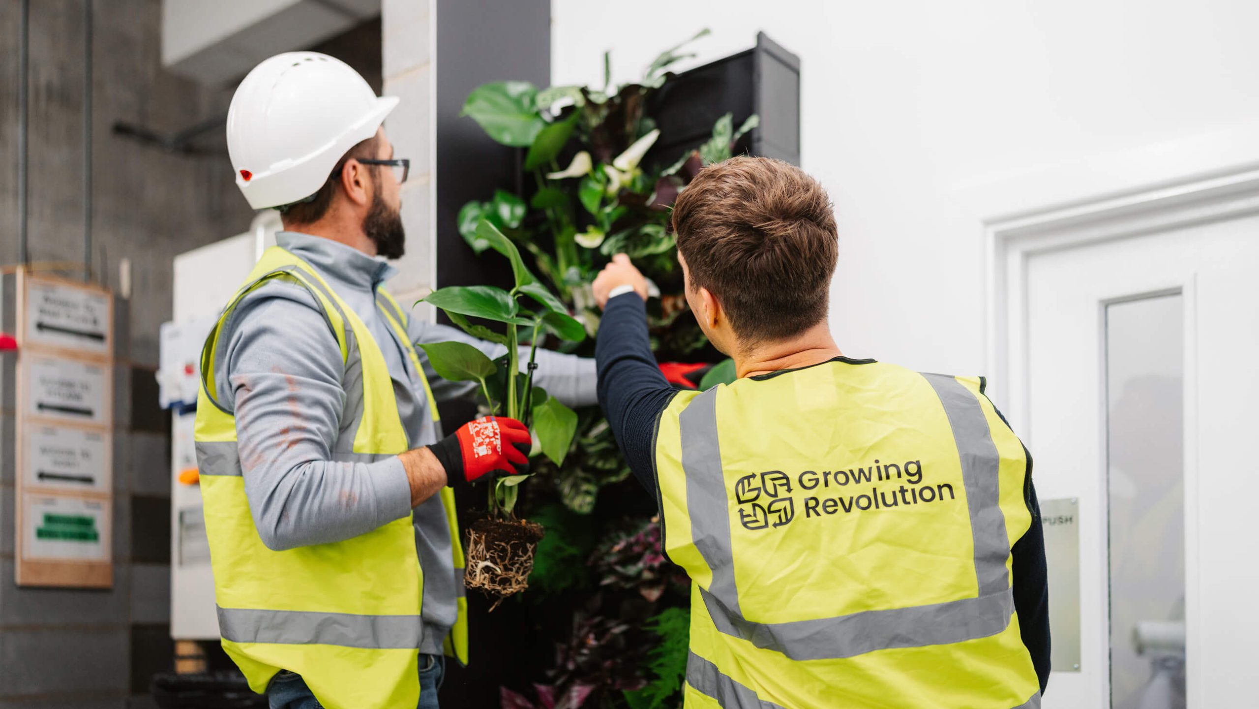 Eco Green Group and Growing Revolution install a PlantBox. Photo Credit Jordi Whitworth, Elevate Media 45